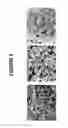 Fig. 06 - Molecular sieve catalyst compositions, catalyst composites, systems, and methods