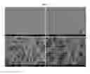 Fig. 02 - Metal nanowire and method of preparing the same