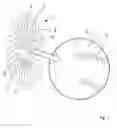 Fig. 02 - Sawblade for a circular saw, method for producing a sawblade, and circular sawing machine