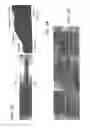 Fig. 06 - OSCILLATING REMOTE LASER WELDING ON A FILLET LAP JOINT