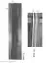 Fig. 09 - OSCILLATING REMOTE LASER WELDING ON A FILLET LAP JOINT