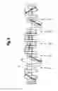 Fig. 09 - Measuring steady rest for supporting and measuring central workpiece regions grinding machine with such a measuring steady rest, and method for supporting and measuring central workpiece regions