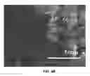Fig. 06 - Method of duplicating texture and pattern of natural material using low temperature embossing process