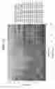 Fig. 09 - Strut mount and suspension mechanism using the same