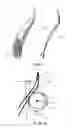 Fig. 07 - Seat backrest and seat including the same