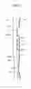 Fig. 08 - Vehicle seat provided with seat belt retractor