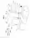 Fig. 02 - Vehicle seat