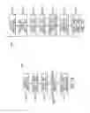 Fig. 19 - System and method for vehicle control using vehicular communication