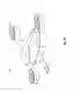 Fig. 25 - Multi-mode aerial vehicle