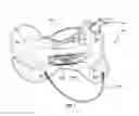 Fig. 02 - Adjustable western saddle