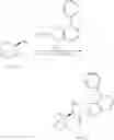 Fig. 445 - Geminal substituted quinuclidine amide compounds as agonists of α-7 nicotonic acetylcholine receptors