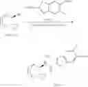 Fig. 486 - Geminal substituted quinuclidine amide compounds as agonists of α-7 nicotonic acetylcholine receptors