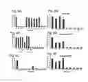 Fig. 08 - Compositions and methods for exosome targeted expression