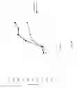 Fig. 08 - ENHANCED PROTEIN EXPRESSION