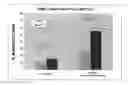 Fig. 01 - Methods to produce rod-derived cone viability factor (RDCVF)