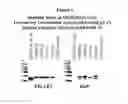 Fig. 02 - Methods to produce rod-derived cone viability factor (RDCVF)