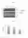 Fig. 08 - MET receptor agonist proteins