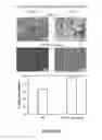 Fig. 07 - Functional surfaces and methods of making thereof
