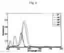 Fig. 08 - Structural colorants that do not exhibit iridescence