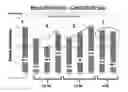 Fig. 02 - Water-soluble unit dose articles made from a combination of different films