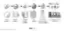 Fig. 02 - Isolated human lung progenitor cells and uses thereof