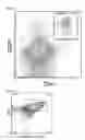 Fig. 07 - Method for inducing t cells for cell-based immunotherapy from pluripotent stem cells