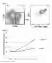 Fig. 08 - Method for inducing t cells for cell-based immunotherapy from pluripotent stem cells