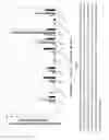 Fig. 06 - Genetically modified phenylpyruvate decarboxylase, processes to prepare, and uses thereof