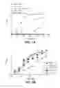 Fig. 02 - Expression and secretion system