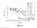 Fig. 13 - Expression and secretion system