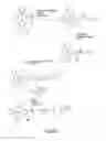 Fig. 06 - EXON SKIPPING COMPOSITIONS FOR TREATING MUSCULAR DYSTROPHY