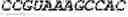 Fig. 02 - Reduction of off-target RNA interference toxicity