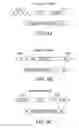 Fig. 06 - Fungal genome modification systems and methods of use