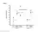 Fig. 06 - Gene expression system using stealthy RNA, and gene introduction/expression vector including said RNA