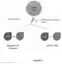 Fig. 03 - METHODS FOR INCREASING CELL CULTURE TRANSFECTION EFFICIENCY AND CELLULAR REPROGRAMMING
