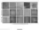 Fig. 11 - METHODS FOR INCREASING CELL CULTURE TRANSFECTION EFFICIENCY AND CELLULAR REPROGRAMMING