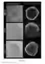 Fig. 16 - METHODS FOR INCREASING CELL CULTURE TRANSFECTION EFFICIENCY AND CELLULAR REPROGRAMMING