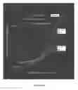 Fig. 17 - METHODS FOR INCREASING CELL CULTURE TRANSFECTION EFFICIENCY AND CELLULAR REPROGRAMMING