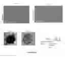 Fig. 40 - METHODS FOR INCREASING CELL CULTURE TRANSFECTION EFFICIENCY AND CELLULAR REPROGRAMMING