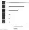 Fig. 56 - METHODS FOR INCREASING CELL CULTURE TRANSFECTION EFFICIENCY AND CELLULAR REPROGRAMMING