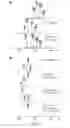 Fig. 07 - N-glycosylation