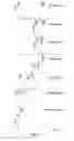 Fig. 35 - N-glycosylation