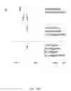 Fig. 45 - N-glycosylation