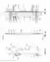 Fig. 06 - Liquid to liquid biological particle concentrator