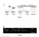 Fig. 02 - METHOD FOR EVALUATING DNA DAMAGE FROM ANALYTE