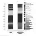 Fig. 09 - Method for identifying pathogens of bacterial infectious diseases by using bacteria-derived nanovesicles