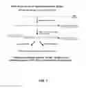 Fig. 02 - MICROARRAY SYSTEM WITH IMPROVED SEQUENCE SPECIFICITY