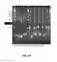 Fig. 07 - MICROARRAY SYSTEM WITH IMPROVED SEQUENCE SPECIFICITY