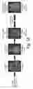 Fig. 02 - Rapid quantitative detection of single nucleotide polymorphisms or somatic variants and methods to identify malignant neoplasms