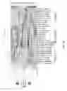 Fig. 08 - METHODS OF DIAGNOSING AUTISM SPECTRUM DISORDERS
